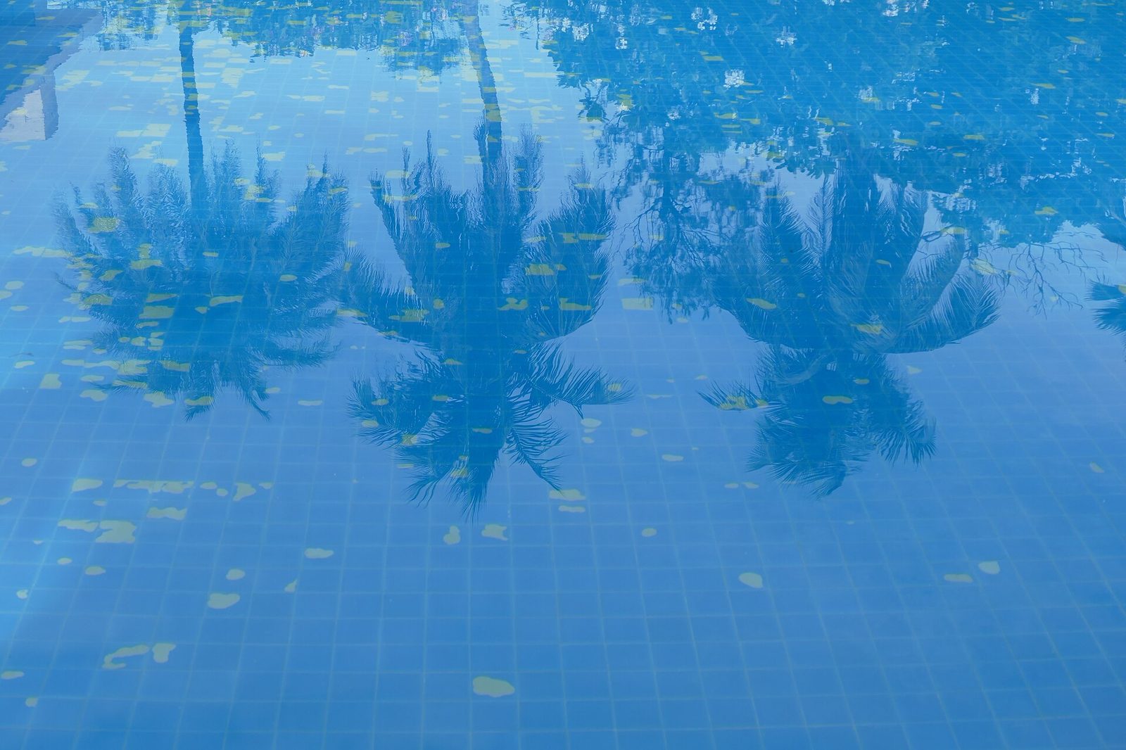 Large swimming pool with clear blue water